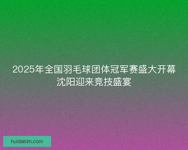 2025年全国羽毛球团体冠军赛盛大开幕沈阳迎来竞技盛宴