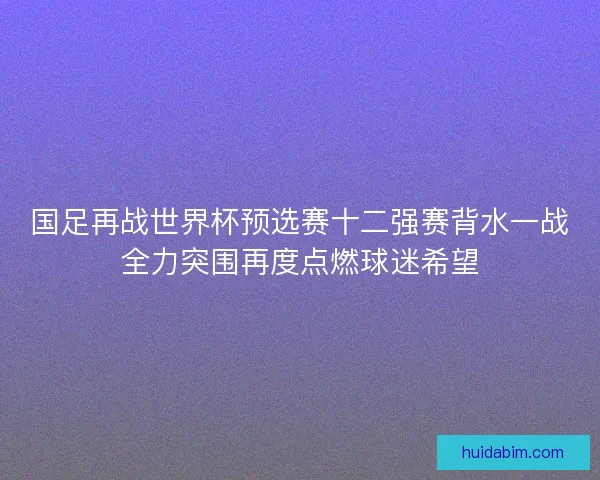国足再战世界杯预选赛十二强赛背水一战全力突围再度点燃球迷希望