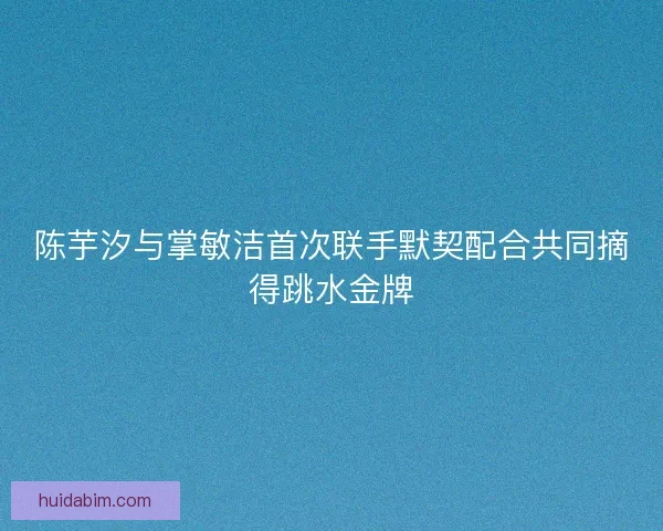 陈芋汐与掌敏洁首次联手默契配合共同摘得跳水金牌