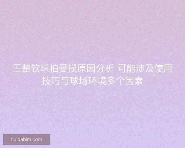 王楚钦球拍受损原因分析 可能涉及使用技巧与球场环境多个因素