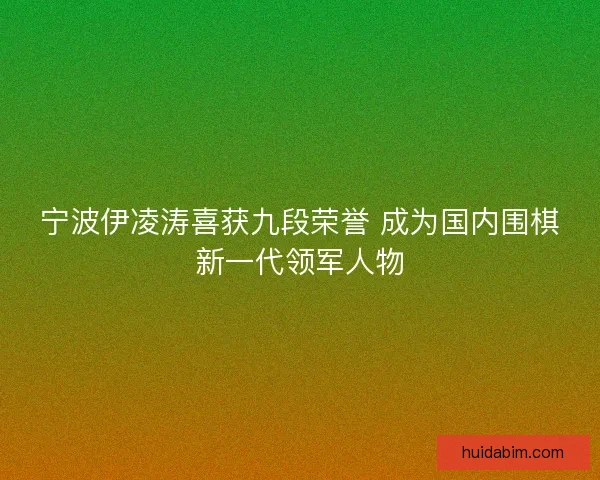 宁波伊凌涛喜获九段荣誉 成为国内围棋新一代领军人物 宁波伊凌涛喜获九段荣誉 成为国内围棋新一代领军人物